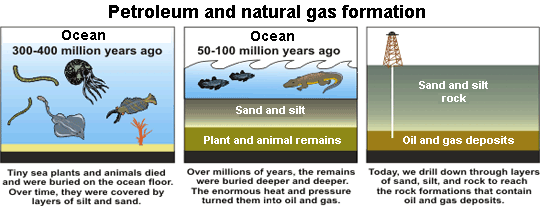 fossil fuel petroleum