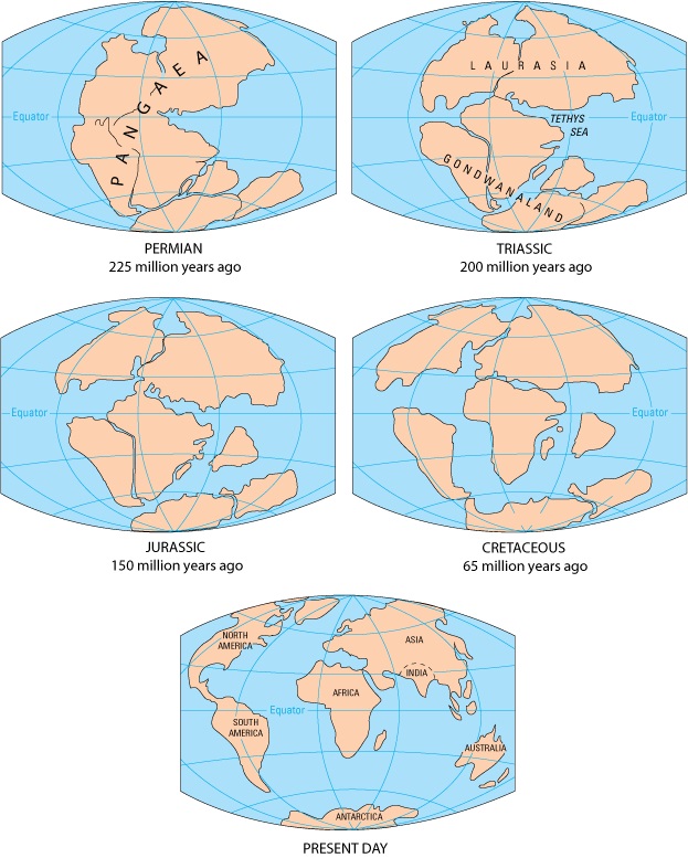 Diagrams showing the evolution of earth from Pangea to Present