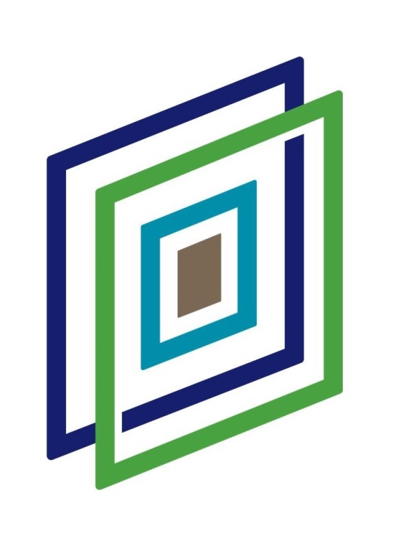 GSI Logo icon